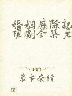 婚姻历险记 电视剧全集免费观看