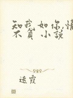知我如你,情深不负 小说
