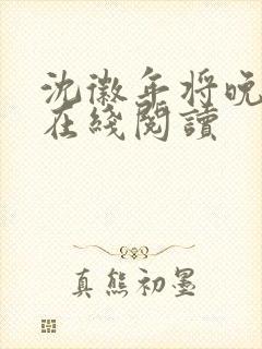 沈徽年将晚小说在线阅读