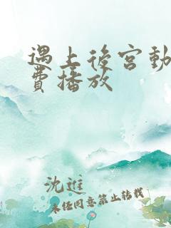 遇上后宫动漫免费播放