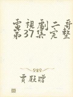 电视剧二哥二嫂第37集完整版视频