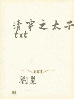 清穿之太子娇妃 txt