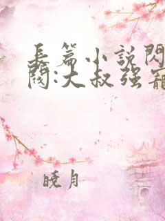 长篇小说闪婚财阀:大叔强宠小娇妻