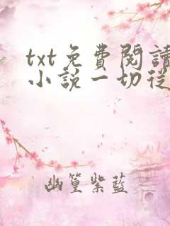 txt免费阅读小说一切从离婚开始