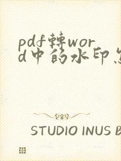 pdf转word中的水印怎么去除