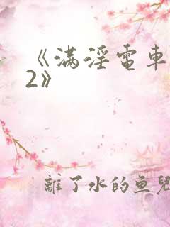 《满淫电车调教2》