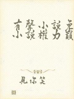 有声小说免费听小说权力巅峰