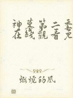 神墓第二季动漫在线观看免费高清完整版