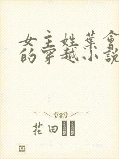 女主姓叶会医术的穿越小说