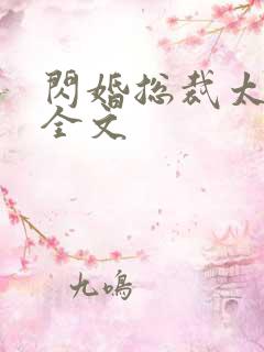 闪婚总裁太霸道全文
