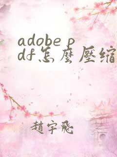 adobe pdf怎么压缩文件大小