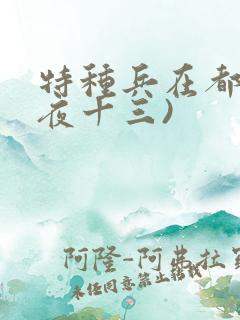 特种兵在都市(夜十三)