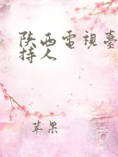 陕西电视台女主持人