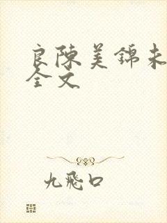 良陈美锦未删减全文