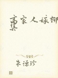 高家人嫁柳家1集