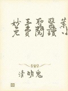 妙手圣医叶皓轩免费阅读 小说