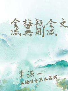 金梅瓶全文无删减无删减