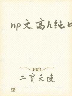 np文高h纯肉
