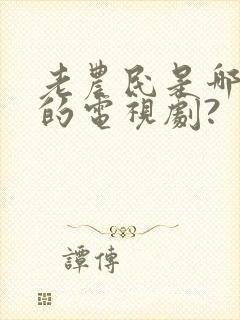 老农民是哪年拍的电视剧?