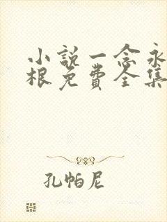 小说一念永恒耳根免费全集