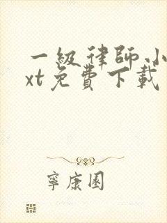 一级律师小说txt免费下载
