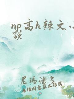 np高h辣文小说