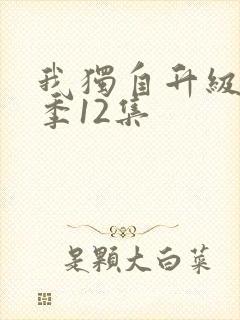 我独自升级第一季12集
