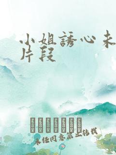小姐诱心未删减片段