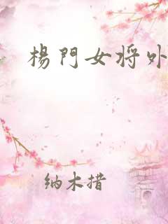 杨门女将外传
