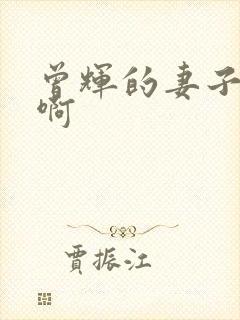 曾辉的妻子是谁啊