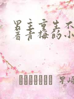 男主重生不再缠着青梅的小说
