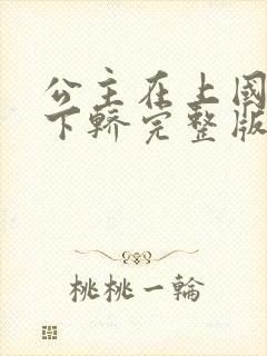 公主在上国师请下轿完整版