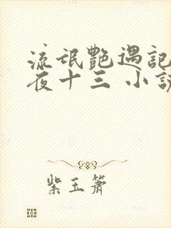 流氓艳遇记作者夜十三 小说