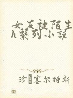 女友被陌生人玩h系列小说