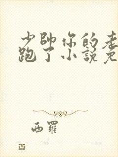 少帅你的老婆又跑了小说免费阅读