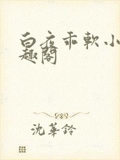 白夜乖软小说笔趣阁