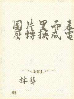 图片里面表格怎么转换成电子版表格