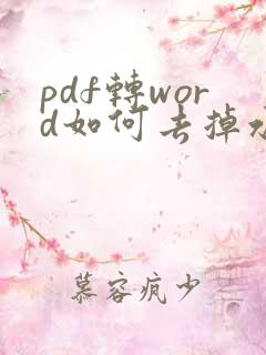 pdf转word如何去掉水印