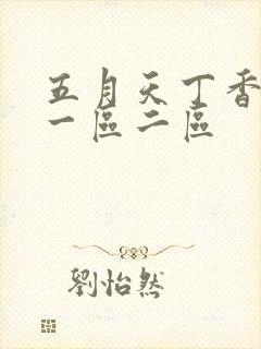 五月天丁香久久一区二区