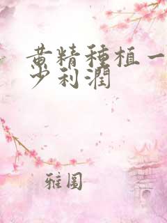 黄精种植一亩多少利润
