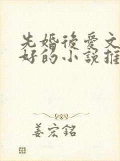 先婚后爱文笔超好的小说推荐