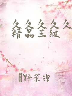 久久久久久国产精品三级