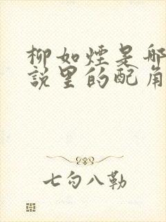 柳如烟是哪本小说里的配角