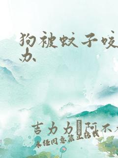 狗被蚊子咬怎么办