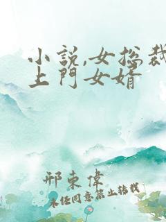 小说,女总裁的上门女婿