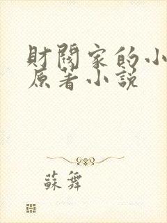 财阀家的小儿子原著小说