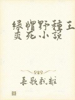 绿帽野种王八奴爽死小说