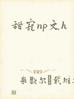 甜宠np文h
