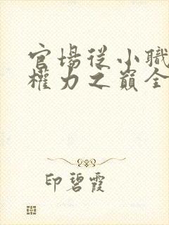 官场从小职员到权力之巅全文