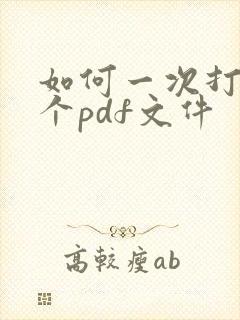 如何一次打开多个pdf文件